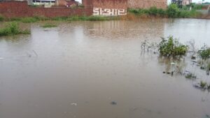 IMG_20250903_174449